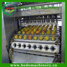 Fruit stone removing machine/seeds remover